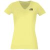 Women's Premium v-neck t-shirt Thumbnail